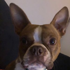 Meet your Posher, Kristen